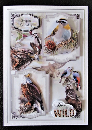 Born To Be Wild 04 Mini Page Kit  by Davina Rundle