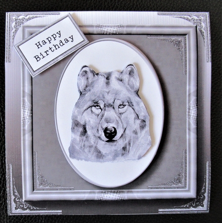 Gorgeous Wolf Painting - Male by Davina Rundle