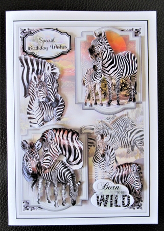 Born To Be Wild 11 Mini Page Kit by Davina Rundle