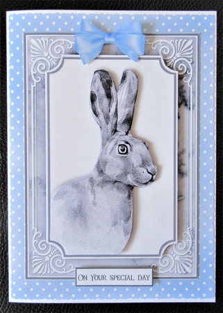 Animal Portrait Bumper Kit 2 by Davina Rundle