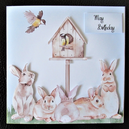6x6 Birds & Bunnies - Spring, Easter by Davina Rundle