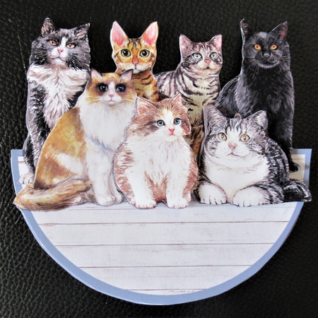 CRAZY ABOUT CATS! rocker card by Davina Rundle