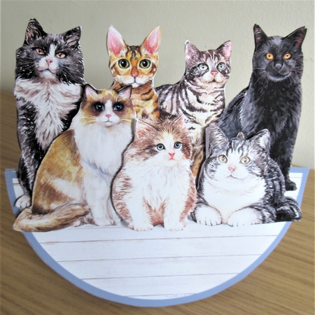 CRAZY ABOUT CATS! rocker card by Davina Rundle