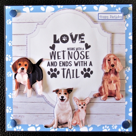 WET NOSES - mini kit by Davina Rundle