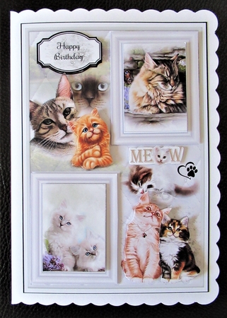 Purrfect Friends Bumper Kit Mini Page Kits by Davina Rundle