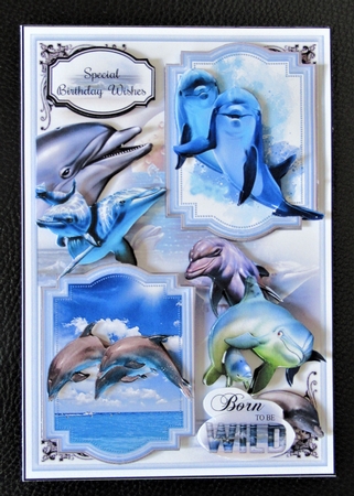 Born To Be Wild - Dolphins Mini Page Kit  by Davina Rundle