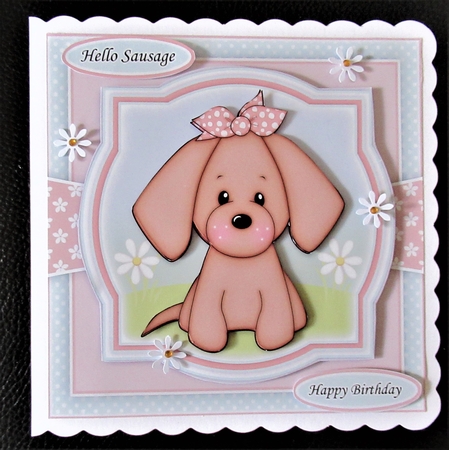 Hello Sausage Mini Kit With ages 1 to 9 yrs by Davina Rundle