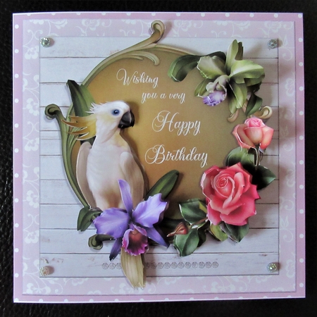 TROPICAL BIRTHDAY WISHES by Davina Rundle