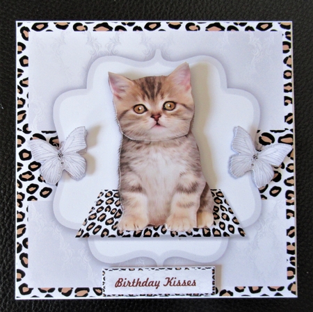 Cute Kitten Mini Kit by Davina Rundle