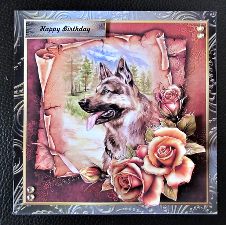 Male  Card  German Sheperd by Davina Rundle