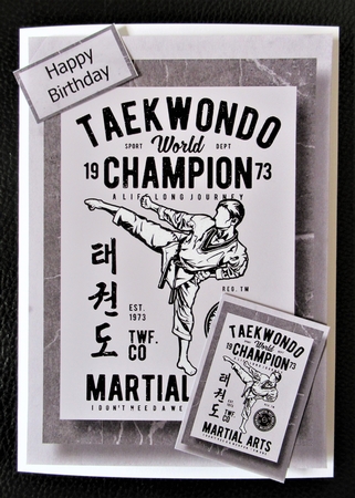 Retro Martial Arts A5 Poster -Taekwondo by Davina Rundle