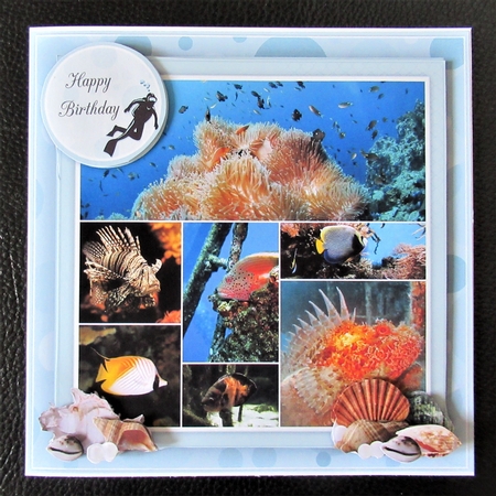 Reef Life Mini Kit by Davina Rundle