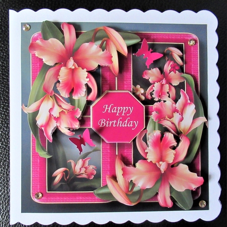 Floral Quad Frame - Aloha Orchids by Davina Rundle