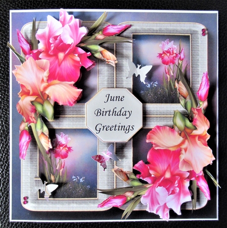 Floral Quad Frame - Blush Iris by Davina Rundle