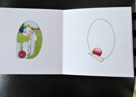 7x7 Its all about cricket insert by Davina Rundle