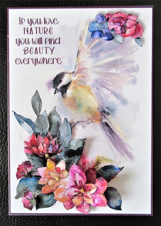 Nature and beauty by Davina Rundle