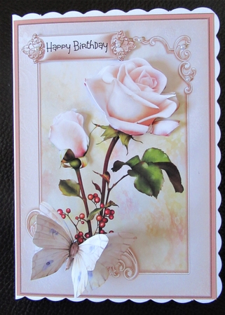 Pink rose and red berry 5x7 by Davina Rundle