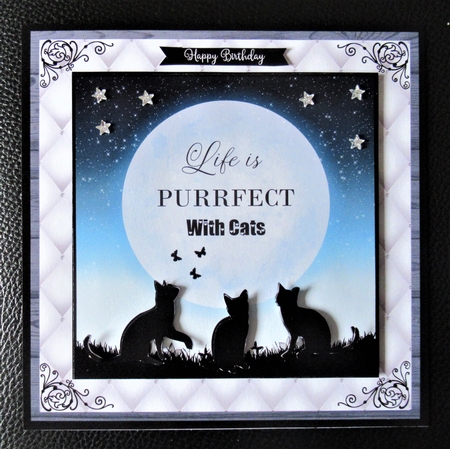 PURRFECT WITH CATS by Davina Rundle