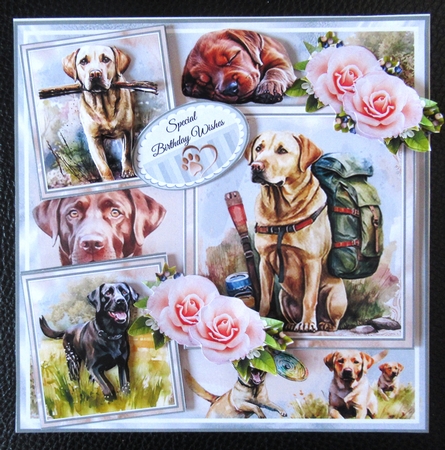 Step By Step Pretty Roses by Davina Rundle