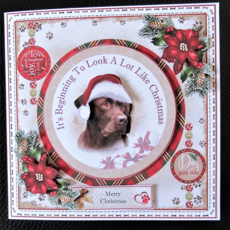 Its Beginning To Look A Lot Like Christmas 06 Mini Page Kit by Davina Rundle