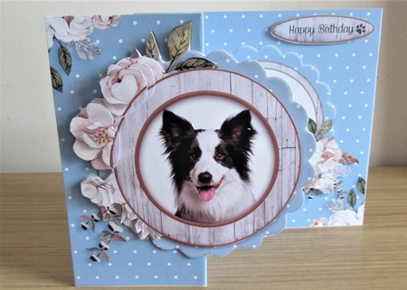 Pawsome Dogs Fold Back -10 by Davina Rundle
