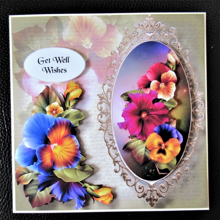 The Framed Pansies by Davina Rundle