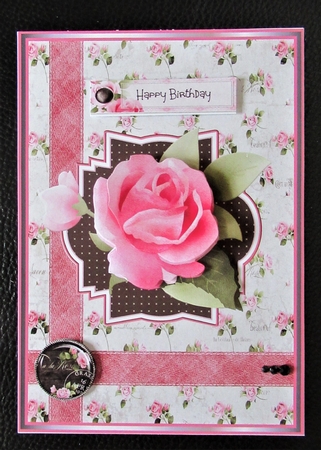 Pink rose 5x7 by Davina Rundle