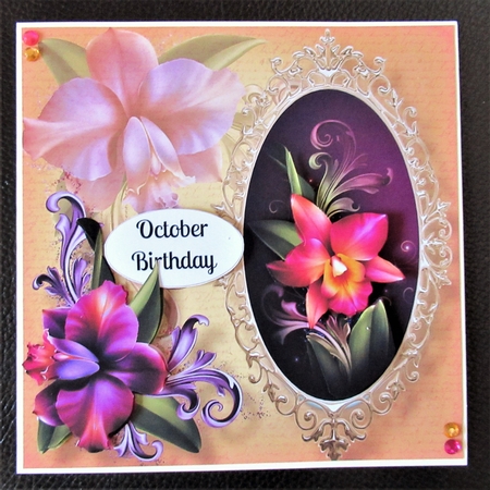The Framed Orchids by Davina Rundle