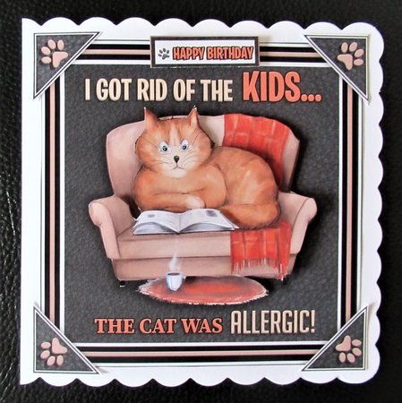 Home is Where the Cat is! by Davina Rundle