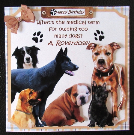 7x7 Too many dogs by Davina Rundle