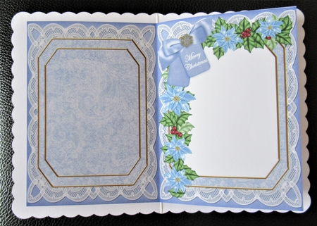 Blue Robin Merry Christmas 7x5in Fancy Lace Foldable Insert by Davina Rundle