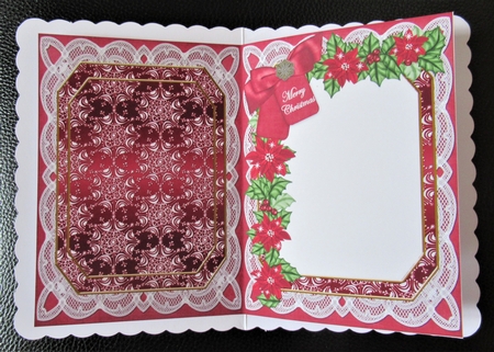 Red Robin Merry Christmas 7x5in Fancy Lace Foldable Insert by Davina Rundle