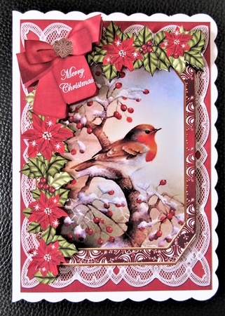 Red Robin Merry Christmas 7x5in Fancy Lace Step by Step by Davina Rundle