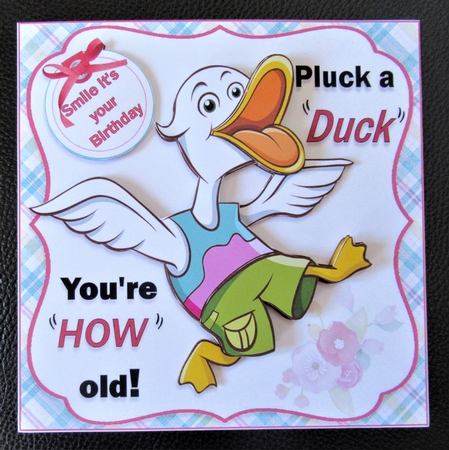 7x7 pluck a duck ladies mini kit by Davina Rundle