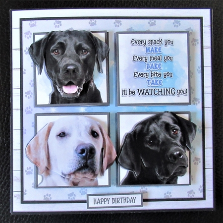 WATCHING YOU - LABRADORS by Davina Rundle