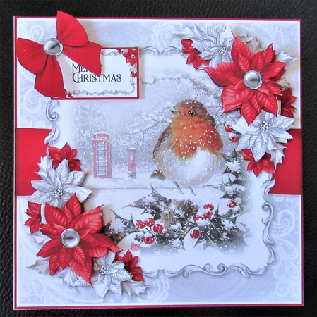 Robin and Poinsettias 3 by Davina Rundle