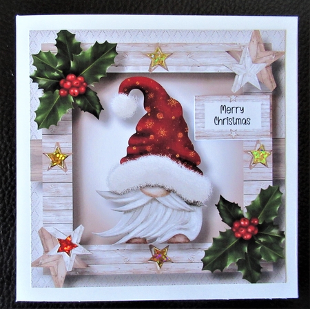 The Christmas Hat Gnome - Red Male 8x8 by Davina Rundle