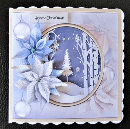 Poinsettia and baubles 7x7 by Davina Rundle