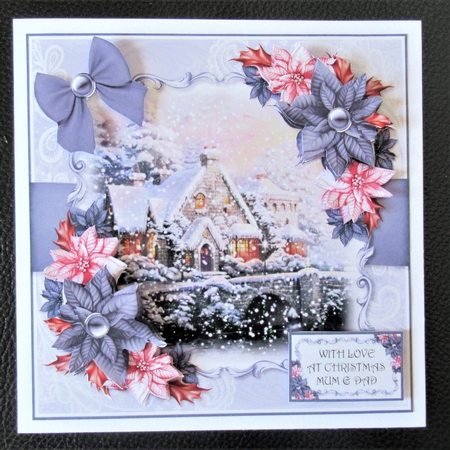 Cottage and Poinsettias 2 by Davina Rundle