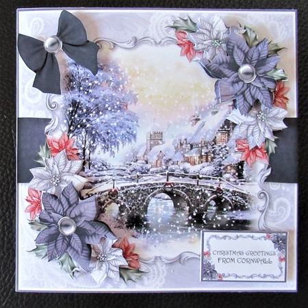 Cottage and Poinsettias 4 by Davina Rundle