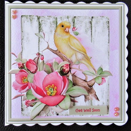Wild rose and bird 6x6 by Davina Rundle
