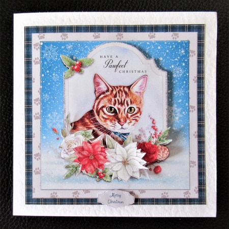 CHRISTMAS GINGER CAT by Davina Rundle