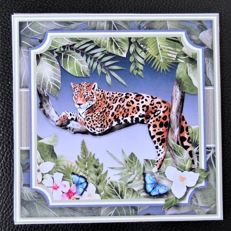 Rainforest Jaguar Mini Kit by Davina Rundle