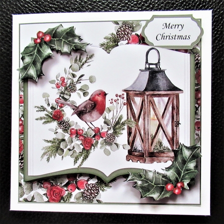 Christmas Open Book - Lamp & Robin by Davina Rundle