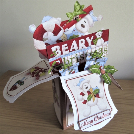 Beary Merry Christmas large Pop Up Box Kit #4 by Davina Rundle