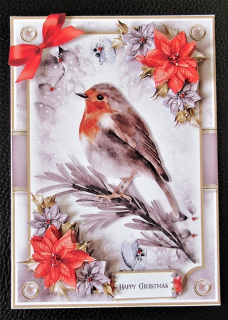 Watercolour Animals and Poinsettias Mini Kit 6 by Davina Rundle