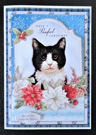 CHRISTMAS CAT 1 by Davina Rundle