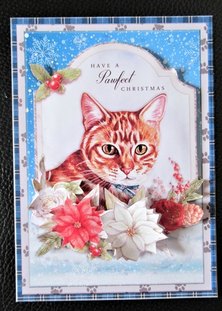 CHRISTMAS CAT 3 by Davina Rundle