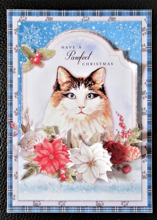 CHRISTMAS CAT 4 by Davina Rundle