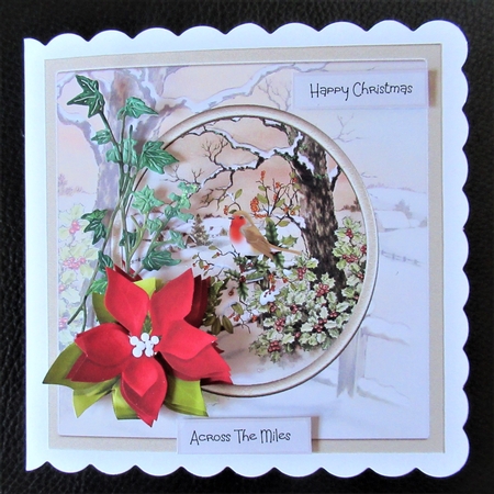 Poinsettia and robin 7x7 by Davina Rundle
